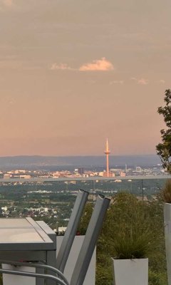 Energieeffiziente Villa im Bauhaus-Stil, 6 Garagenstellplätzen, Pool, Aufzug