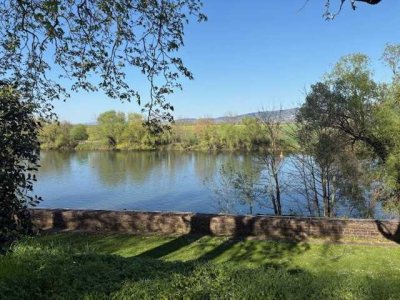 Alles außer gewöhnlich ! – Wohnen in der Residenz im Schlosspark ***