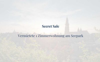 1 Zimmerwohnung in guter Lage am Seepark