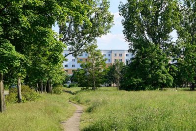 Hoch hinaus und den Ausblick genießen!