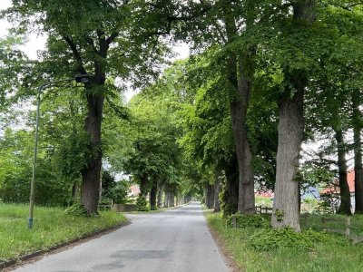 Landgut mit Geschichte: 20-Zimmer-Gutshaus plus Lenné-Park mit Förderpotenzial