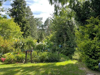 großes Grundstück mit Einfamilienhaus