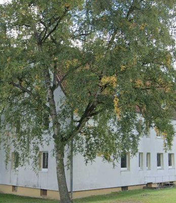 Stilvolle, gepflegte 2-Raum-Wohnung in Osnabrück