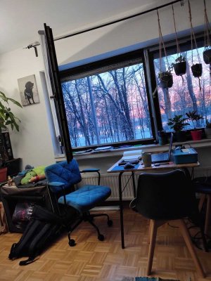 1-Zimmer Wohnung mit Balkon in Neuwied
