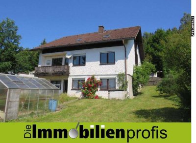 56 - Große, sanierte Wohnung mit Garten und Doppelgarage zur Miete in Naila