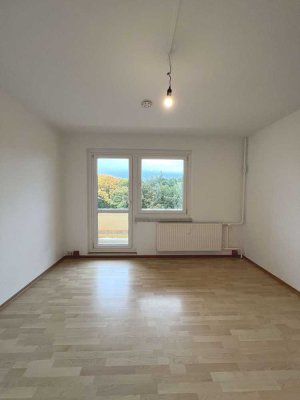 3-Raum-Whg.: Balkon, Einbauküche und Top-Fernseher