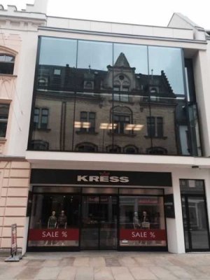 Moderne offene Galeriewohnung im Loftstil