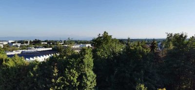 Helle, teilmöblierte 1-Zimmer-Wohnung mit extra Küche und traumhaftem Säntisblick über den Bodensee