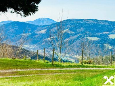 Landleben mit Panoramablick im Süden Kärntens!