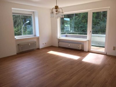 Schöne und sanierte 3-Raum-Wohnung mit Balkon in Dillenburg
