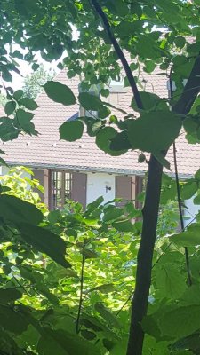 Exclusive, 2,5 Ziwhg., Moniberg, ruhig
