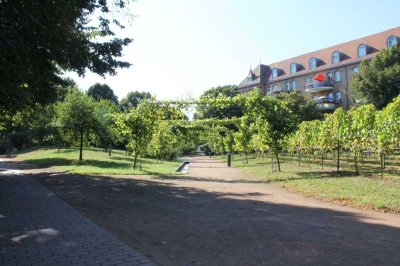 **Breisach a.Rh.: *Schicke 3 Zi. Whg. mit Einbauküche,2x Balkon u. Aufzug sucht neue Mieter**