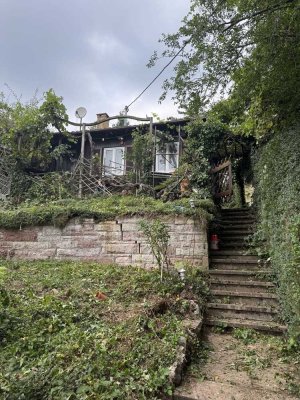 (Wochenend-) Haus mit großem Grundstück in Korntal-Münchingen