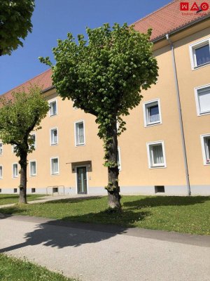 Sie suchen Ruhe und grüne Idylle gepaart mit 1A-Infrastruktur? Wir haben das Richtige für Sie! Tolle 3-Zimmer-Wohnung in traumhafter Lage! Saniert und sofort verfügbar!