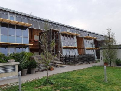 HOHENRUPPERSDORF I/1, geförderte Mietwohnung mit Kaufoption, EG TOP2, 1000/00010730/00001102