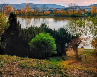 1-Zimmer Wohnung mit Balkon in Koblenz-Metternich