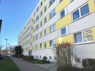 Frisch renovierte 4 Zimmer Wohnung