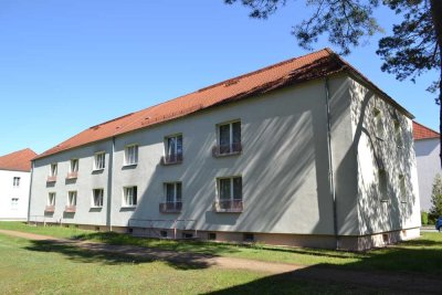 frisch renovierte 3-Raumwohnung in Schwarze Pumpe zu vermieten!