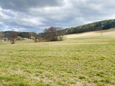 Familientraum mit großem Garten - Fertigstellung noch 2025!
