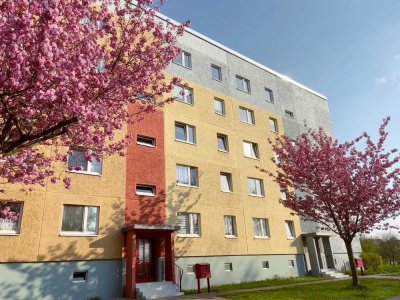Komplett Saniert! Helle 65qm 3-Raum Wohnung mit Balkon in ruhiger Lage mit bester Anbindung!