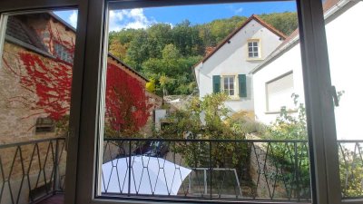 Balkon der Pfalz. Zwischen Weinbergen, Biosphärenreservat & Stadt.