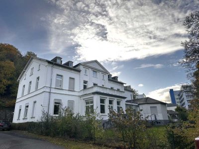 Luxuriöse - Stilvolle 4-Zimmer Wohnung in historischer Villa – hohe Decken & viel Raum zum Leben