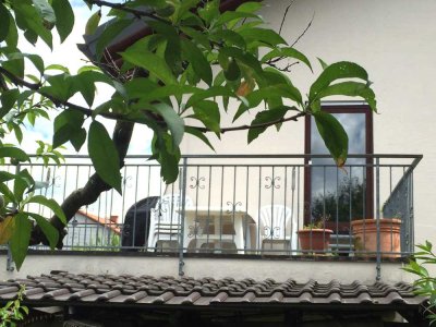 Charmantes ruhiges 1-Zi-Appartment mit Dachterrasse ins Grüne