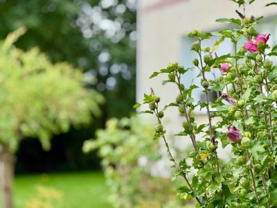 Großzügiges Anwesen mit Obstgarten, Ackerland & ausbaufähigem Dachboden