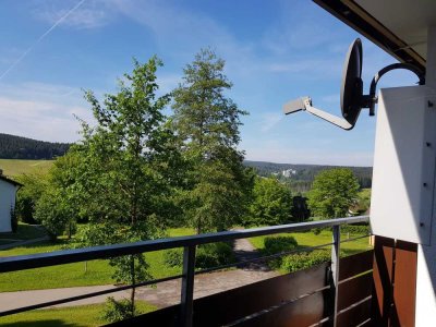 gemütliche teilmöblierte 2-Zi-Nichtraucherwohnung mit Balkon in Südhang