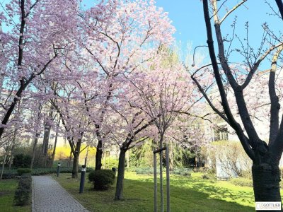 Grünruhelage nahe Glanzing! Perfekt geschnittene 3-Zimmer-Wohnung mit optionalem Garagenplatz