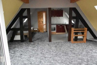 Schöne, geräumige Einzimmer Dachgeschosswohnung in Egelsbach