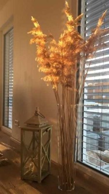 Bien-Zenker EDITION 125  - Ihr individuelles Familienhaus in Wertheim