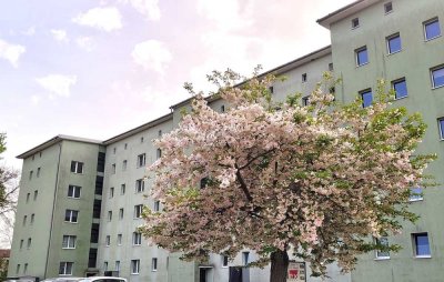 Ihre 3 Raum-Wohnung mit Balkon möchte wunschgemäß saniert werden