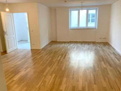 schönes, frisch renoviertes großes Apartment IN Altstadt