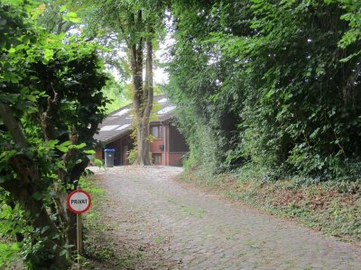 exklusives Landhaus mit Dachterrasse in Naturlage - mögliche Pferdehaltung m. Boxen ,Reitplatz,Wiese