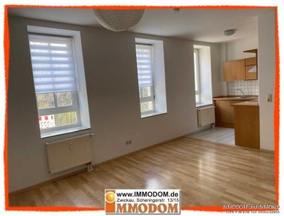 Singlewohnung in Zwickau, teilmöblierte mit EINBAUKÜCHE zu vermieten!