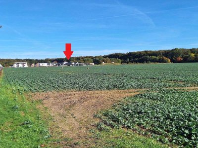 Waldnah und Weitblick - Neuwertiges Einfamilienhaus in Greifswald