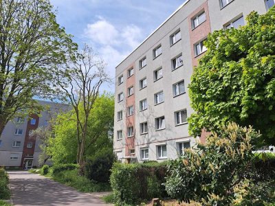 3-Raum Wohnung im Erdgeschoss für kreative Mieter - Renovierungsgutschein geschenkt!