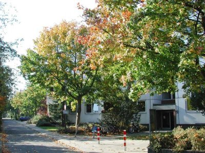 Sanierte Wohnung in Stadtnähe