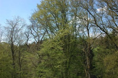 Hochwertige und sonnige Maisonettewohnung in ruhigem Wohngebiet (Baind) in Biberach