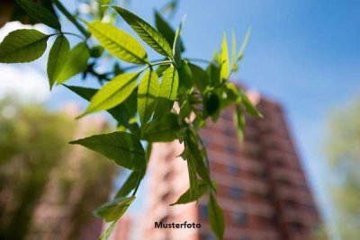 Hoch hinaus: 2-Zimmer-Wohnung mit TG-Stellplatz