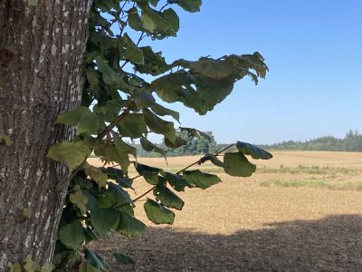 Naturnahe 4-Zimmer-Maisonette-Wohnung mit Balkon. EBK  und TG-Stellplatz