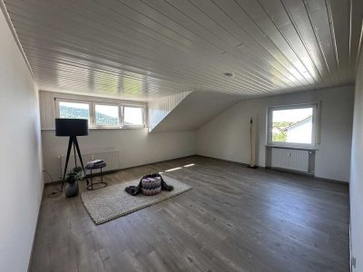 Neu renovierte moderne 4-Zimmer-Whg. mit Dachterrasse u. Garage