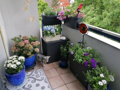 Verkaufe meine Charmante 5-Zimmerwohnung mit Autoabstellplatz und Garage