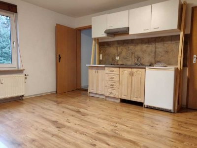 gemütliches, möbliertes (wenn gewünscht) 1-Zimmer Appartment mit Einbauküche zu vermieten.