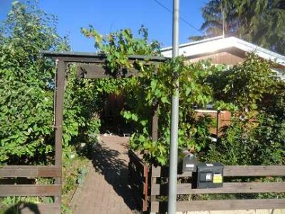 Einfamilienhaus am Hegbachsee in Nauheim