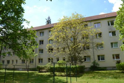 2-Raum-Wohnung im Grünen zu vermieten