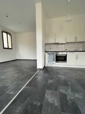 Altstadt / sanierte / großzügige 1 Zimmer Wohnung mit EBK zu vermieten