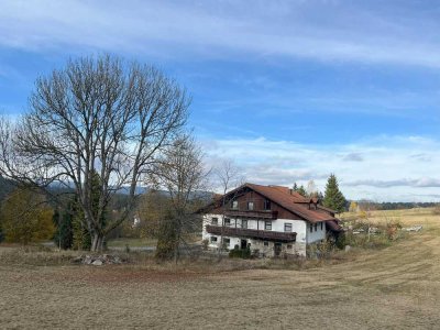 Mehrfamilienhaus mit 4 Appartements in ruhiger Lage mit Grünfläche