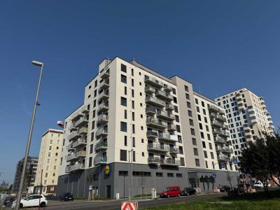 MÖBLIERTES APARTMENT IM NEUBAU NAHE S-BAHNHOF SPRINGPFUHL! (715)